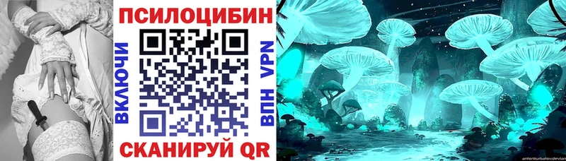hydra рабочий сайт  Абдулино  Галлюциногенные грибы Psilocybe  купить закладку 